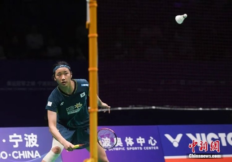 历史文化将 历史文化将