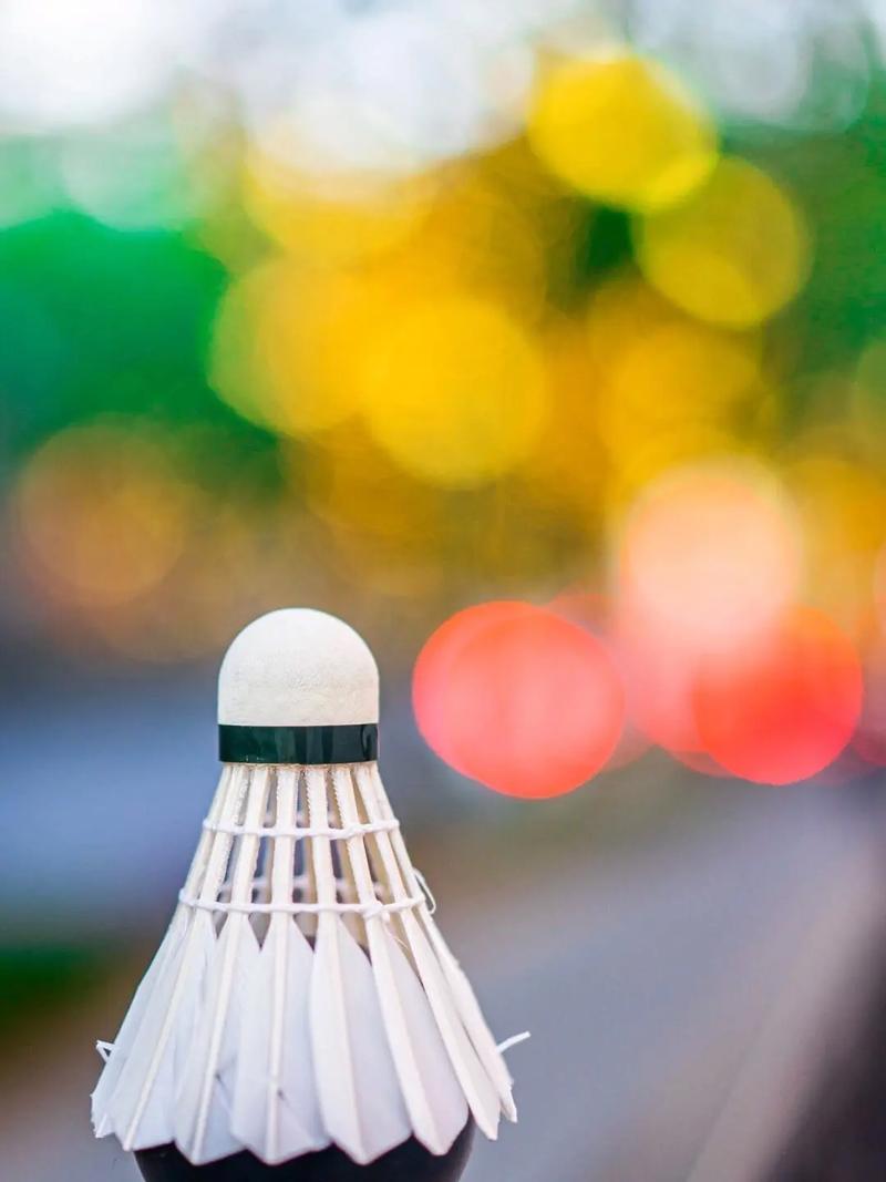 可用之才 可用之才